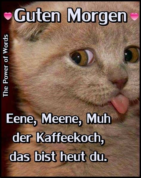 witzig whatsapp guten morgen lustig|gute morgen memes.